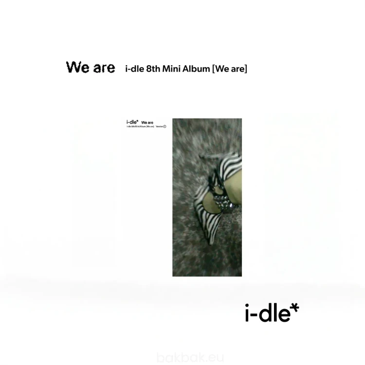 idle-we-are-i-ver.webp