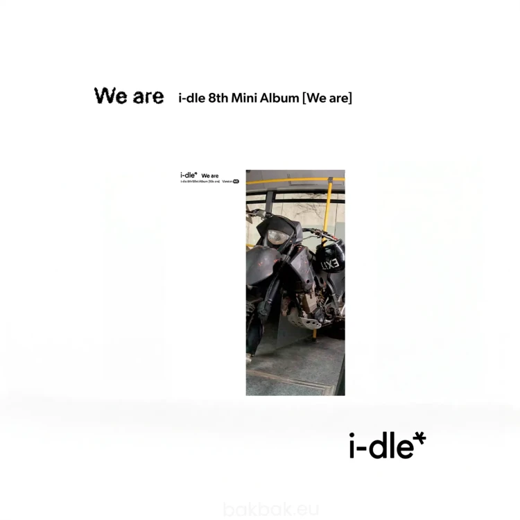 idle-we-are-we-ver.webp